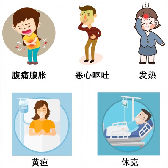 【健康科普】飲食不當(dāng)，當(dāng)心會(huì)要命的急性胰腺炎430.png