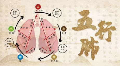 80%“大白肺”，中醫(yī)出手成功逆轉(zhuǎn)！市二院中西醫(yī)結(jié)合治療 助七旬“白肺”患者順利脫險(xiǎn)1252.png